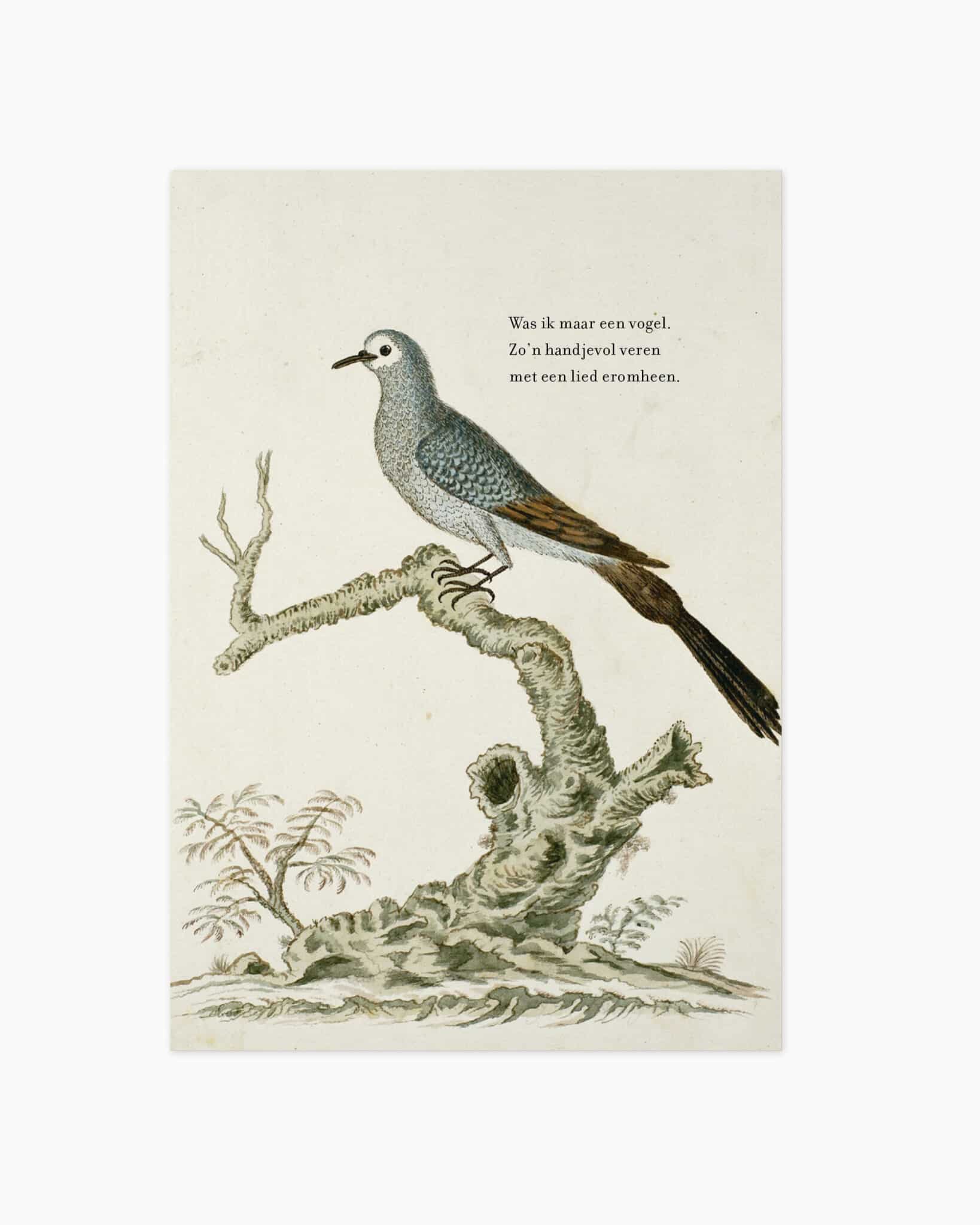 Kaarten Pre-order - Zo'n handjevol veren2