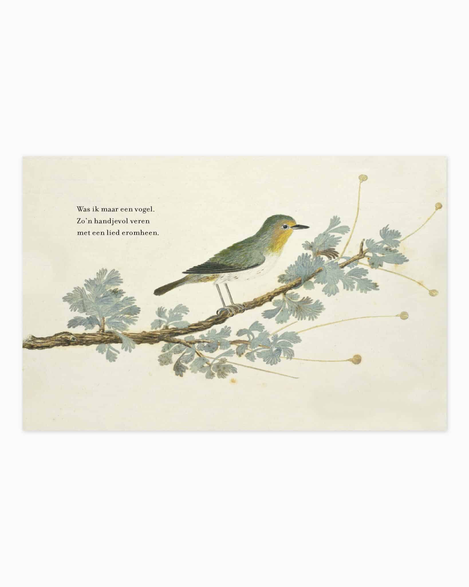 Kaarten Pre-order - Zo'n handjevol veren3