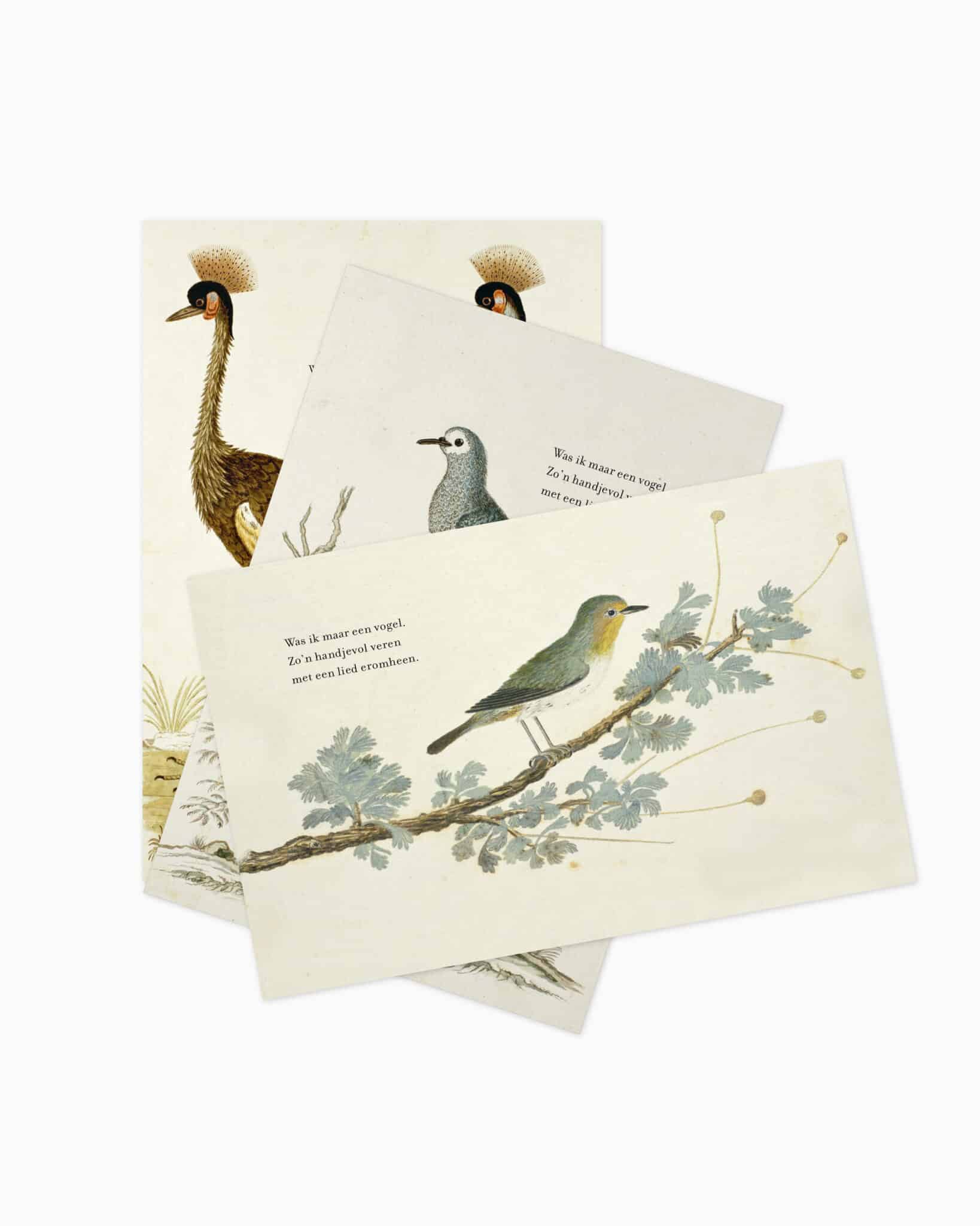Kaarten Pre-order - Zo'n handjevol veren4