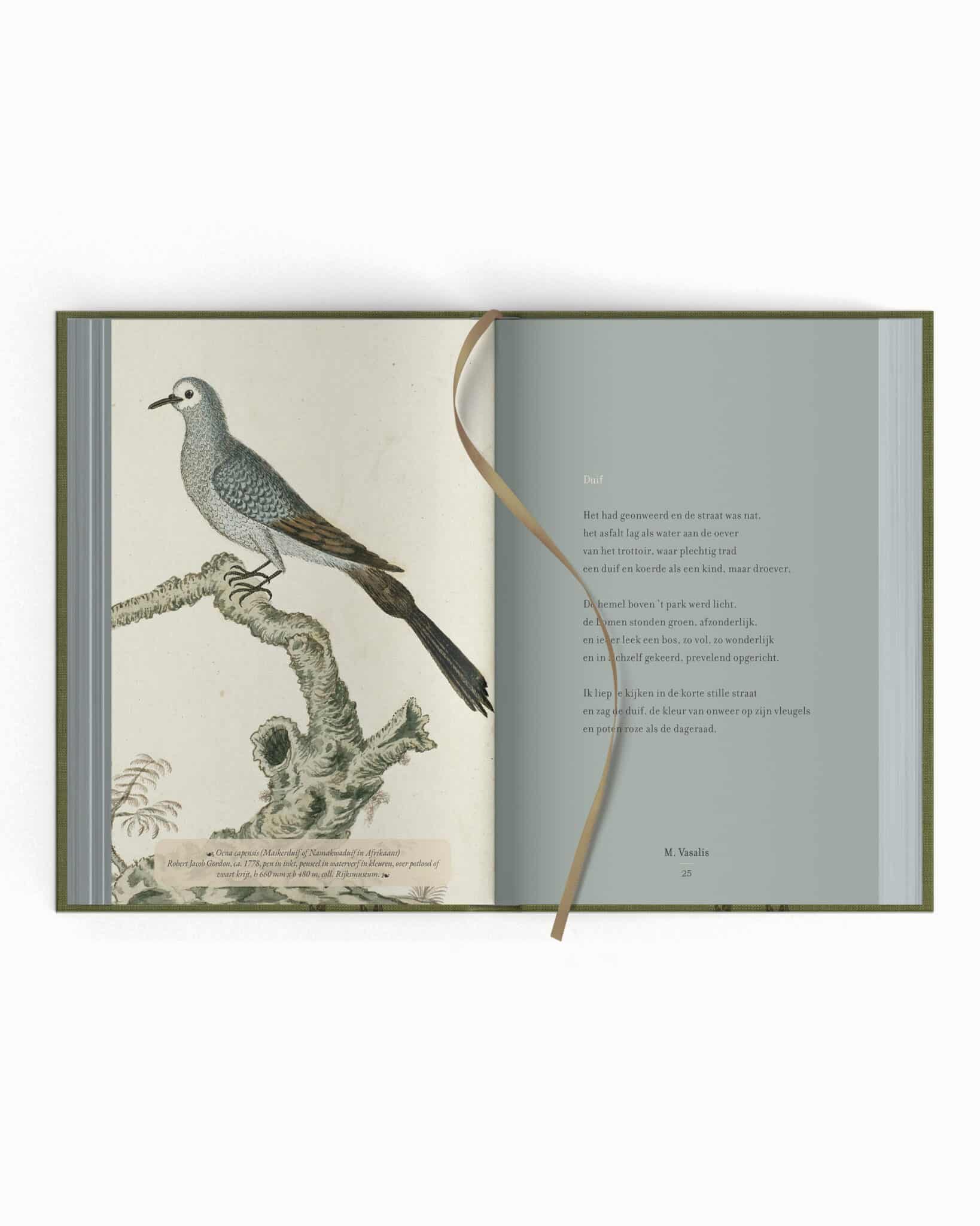 Plint - Bijzondere bloemlezing - zo'n handjevol veren - site plaatjes2