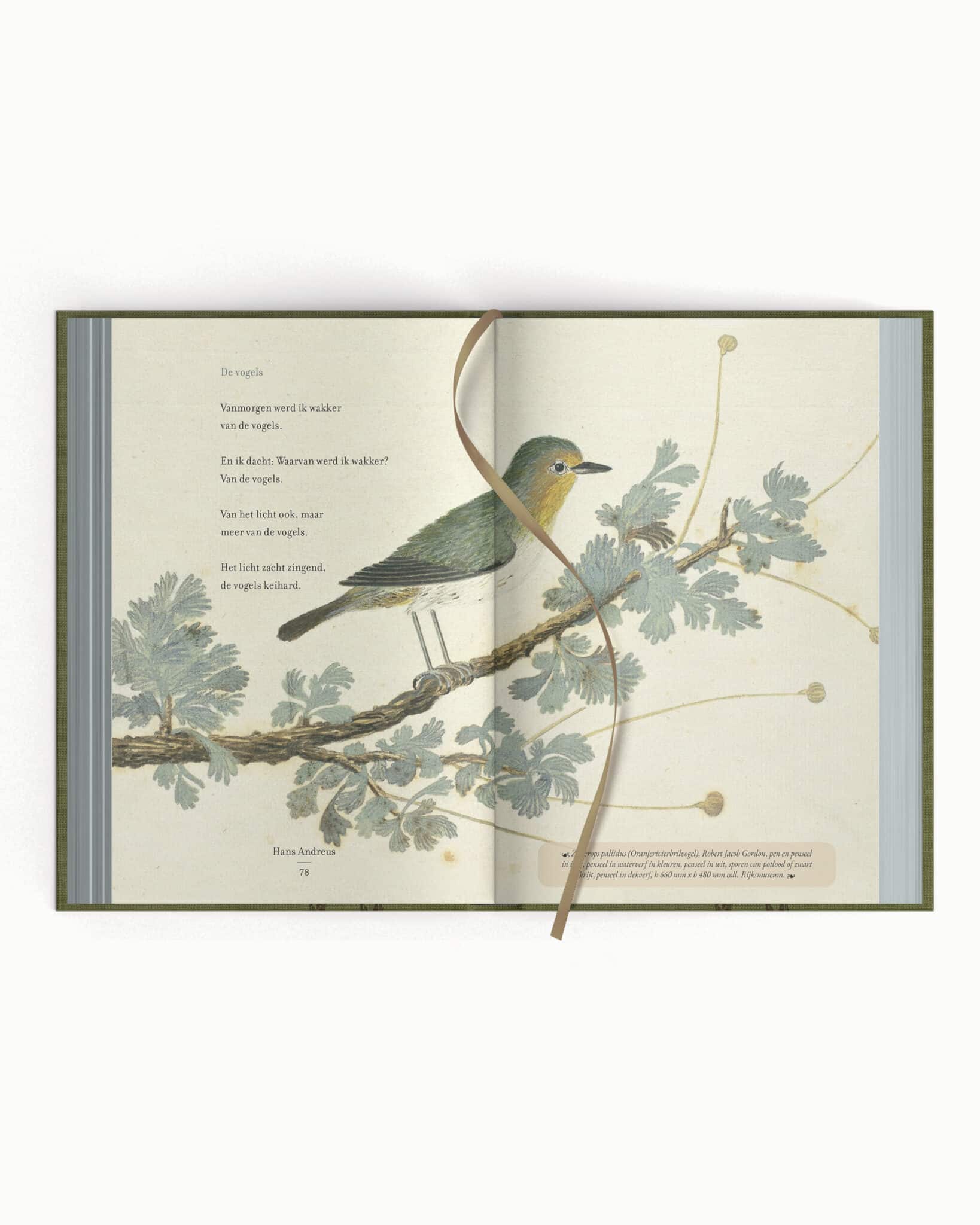 Plint - Bijzondere bloemlezing - zo'n handjevol veren - site plaatjes3