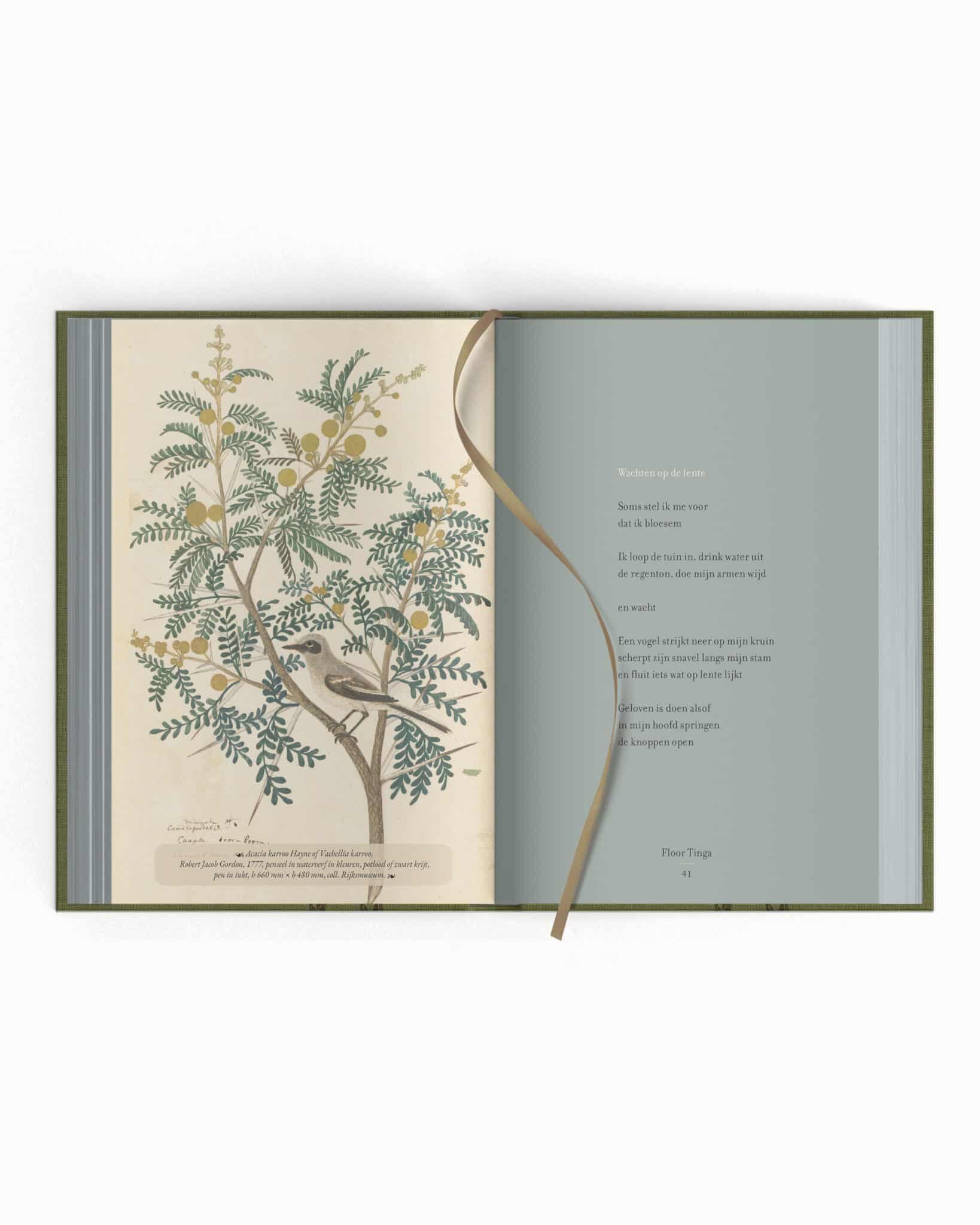 Plint - Bijzondere bloemlezing - zo'n handjevol veren - site plaatjes4